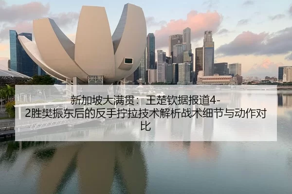 新加坡大满贯：王楚钦据报道4-2胜樊振东后的反手拧拉技术解析战术细节与动作对比