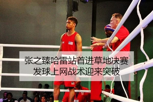 张之臻哈雷站首进草地决赛 发球上网战术迎来突破
